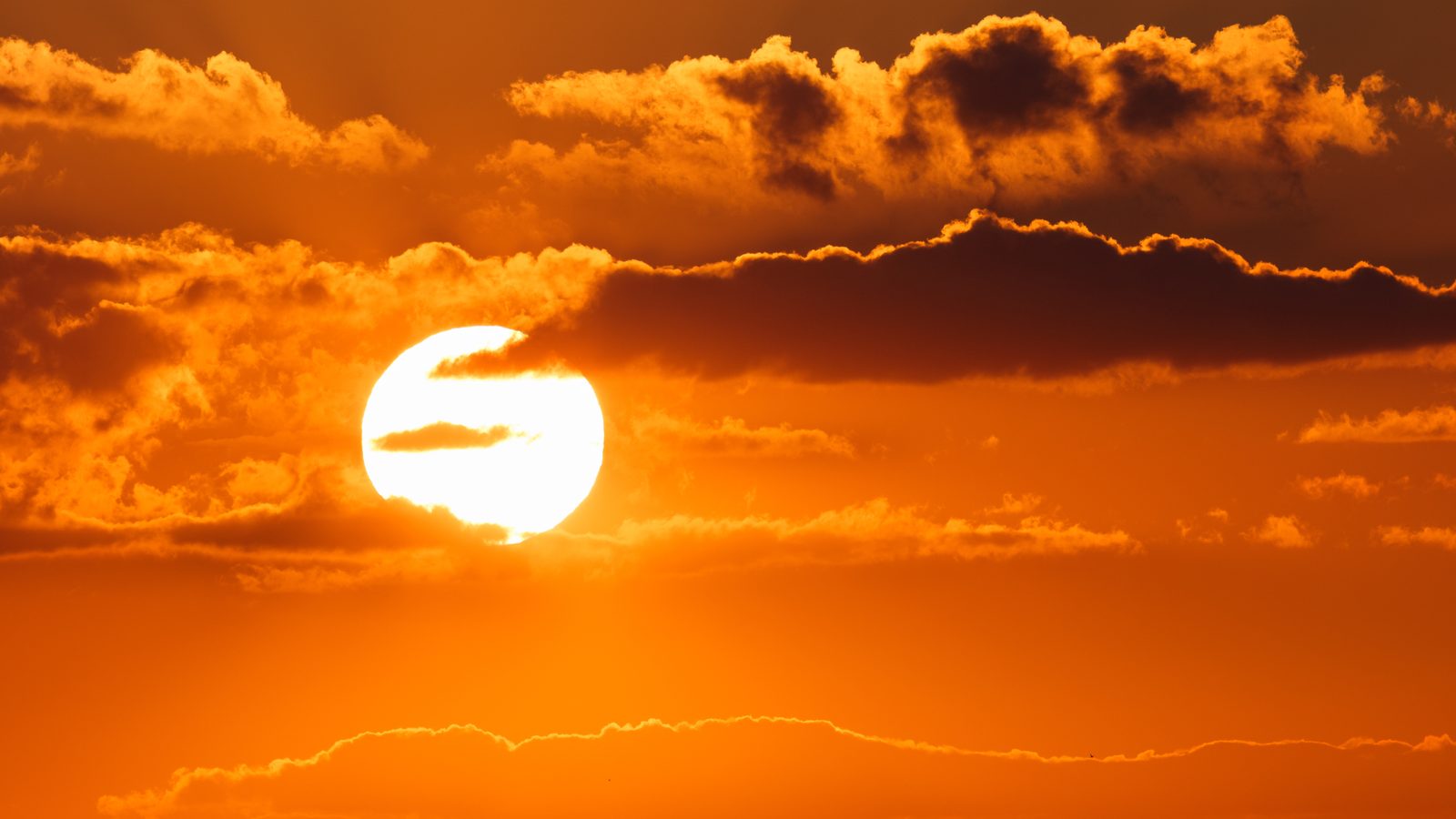 Погода 28 сентября: Warszawa 10…21 °C, солнечно
